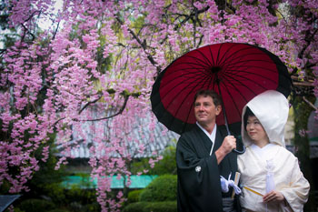 Video - Rory & Sayaka Japanese Wedding