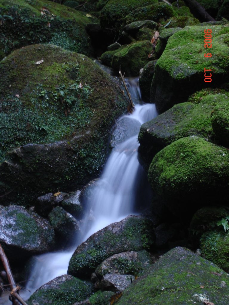 Yakushima waterfall